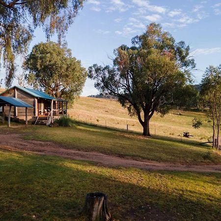 Gaddleen Grove Cottages Wodonga Buitenkant foto