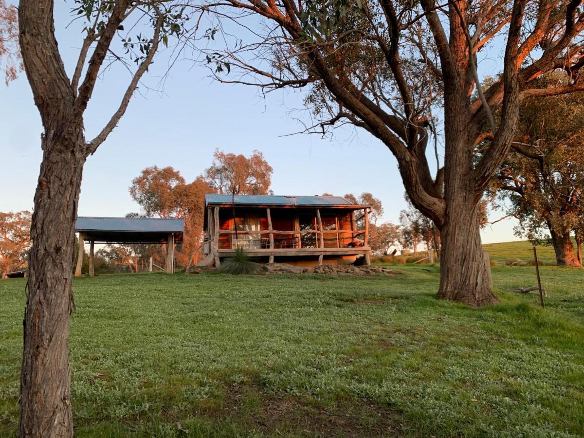 Gaddleen Grove Cottages Wodonga Buitenkant foto