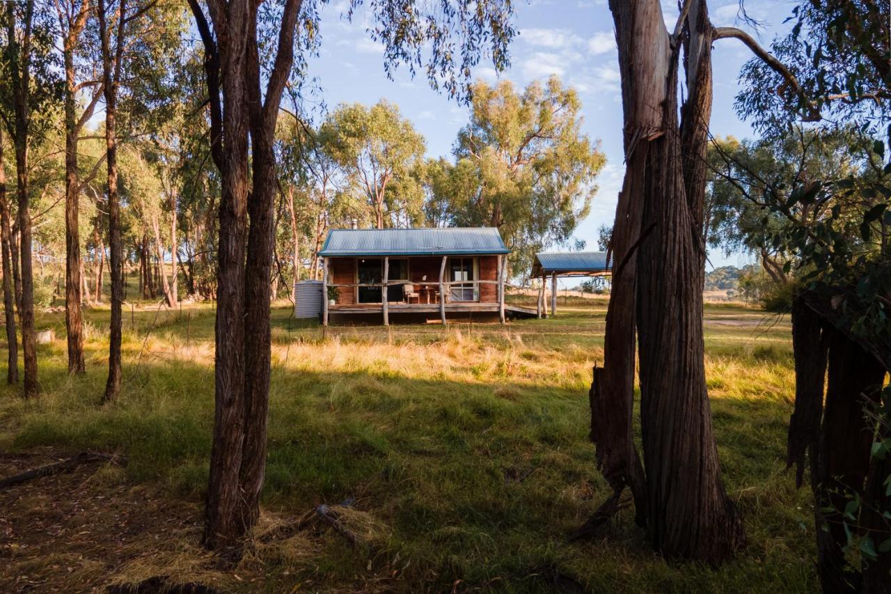 Gaddleen Grove Cottages Wodonga Buitenkant foto